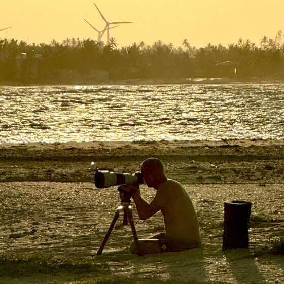 796F589D-B112-4AF9-92F2-F4121320427C_1_105_c