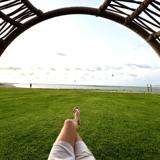 E5D83174-2B0B-409C-9F16-69D6A7B7623A_1_201_a